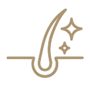 icon4
